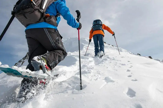 Off-Trail Adventures: Exploring the Backcountry on Snowshoes