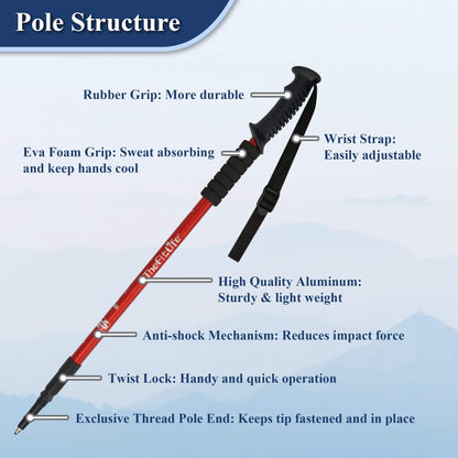 Image of TheFitLife Nordic Walking Trekking Poles - 2 Sticks with Anti-Shock and Quick Lock System, a Hiking Poles available for $36.22 Buy now and save at Adventure Travel Gear