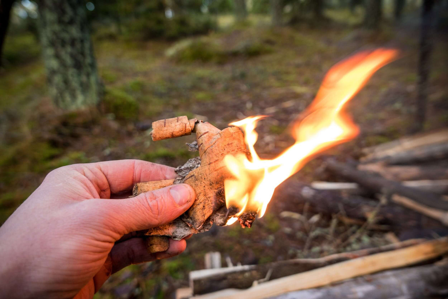 Image of The Art of Fire: Advanced Techniques for Wilderness Survival, a Ebook available for $9.99 Buy now and save at Adventure Travel Gear